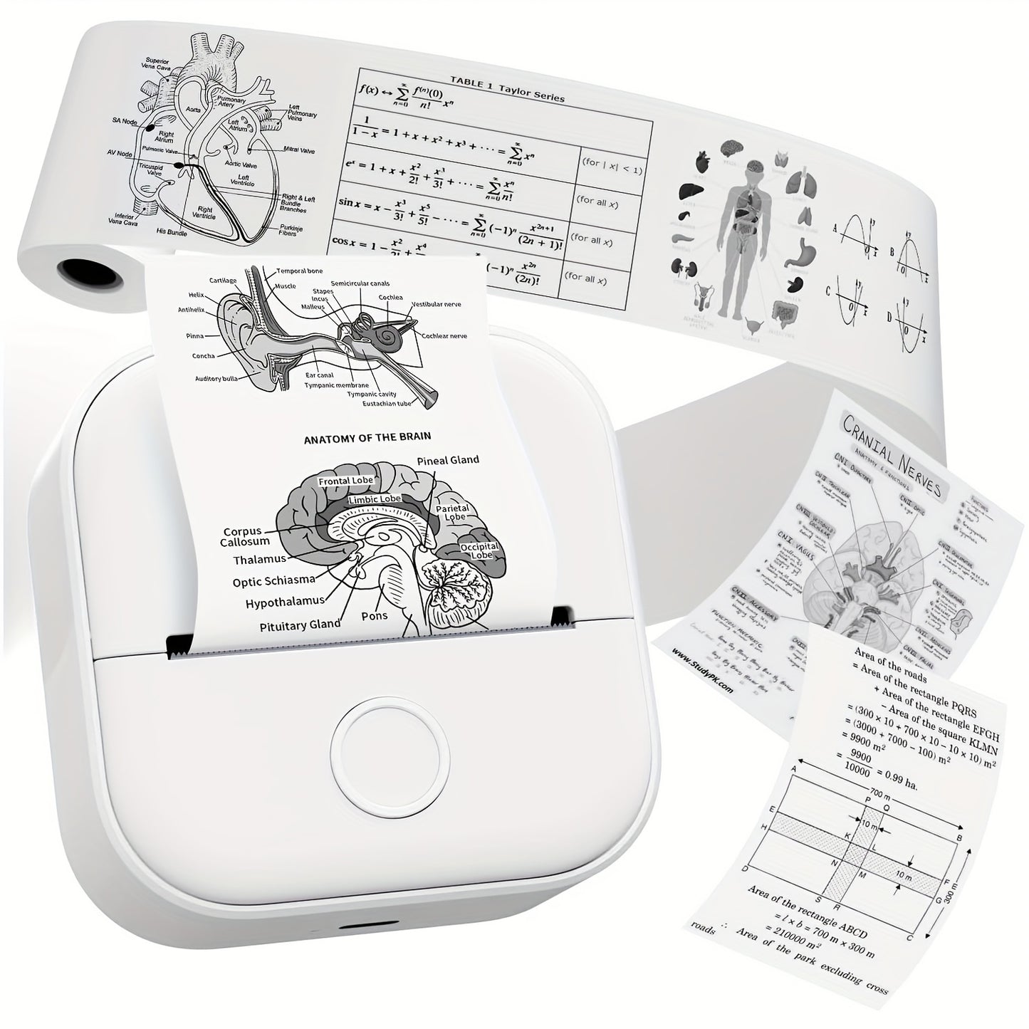 Phomemo T02 Mini Thermal Printer - Portable Wireless Sticker Maker with black & white printing for various uses, USB rechargeable.