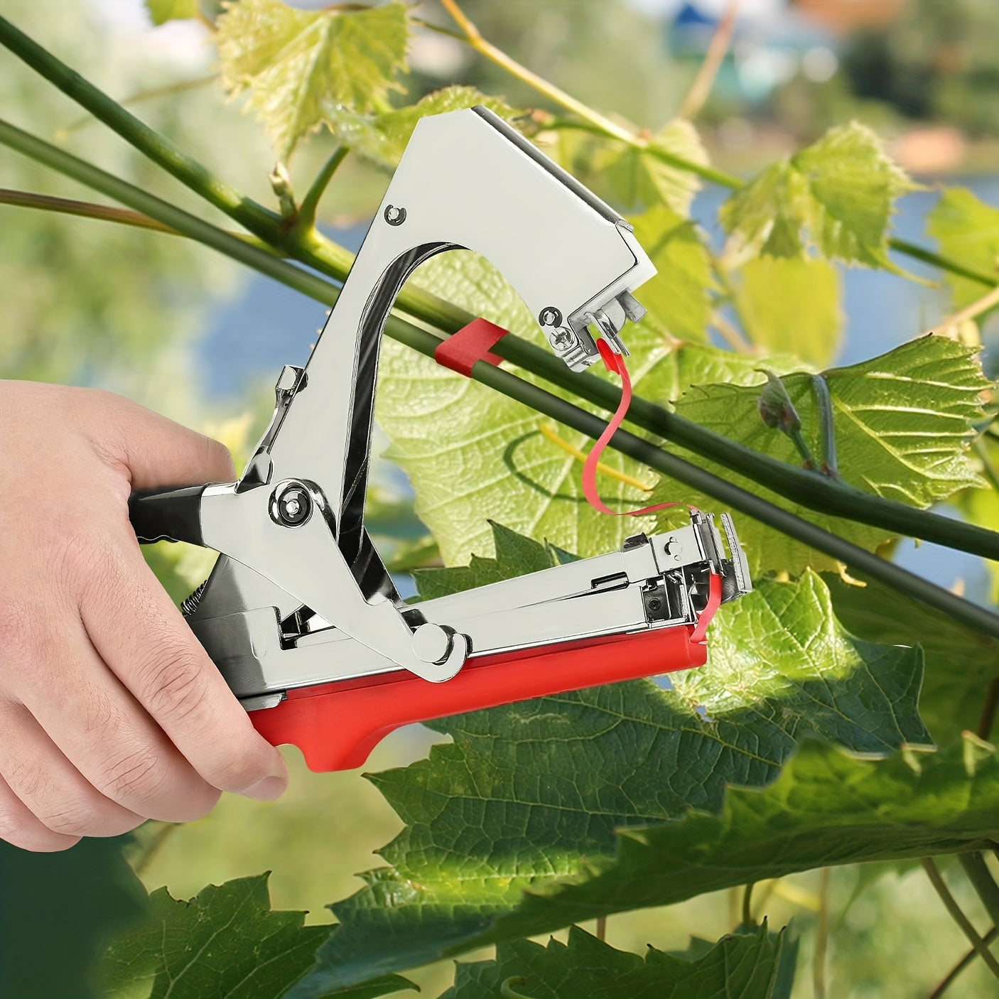 Plant tying machine for various plants like grapes, raspberries, tomatoes, vining vegetables, and flowers.