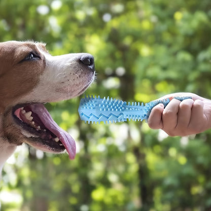 Durable chew stick for dogs, promotes dental health and massages teeth