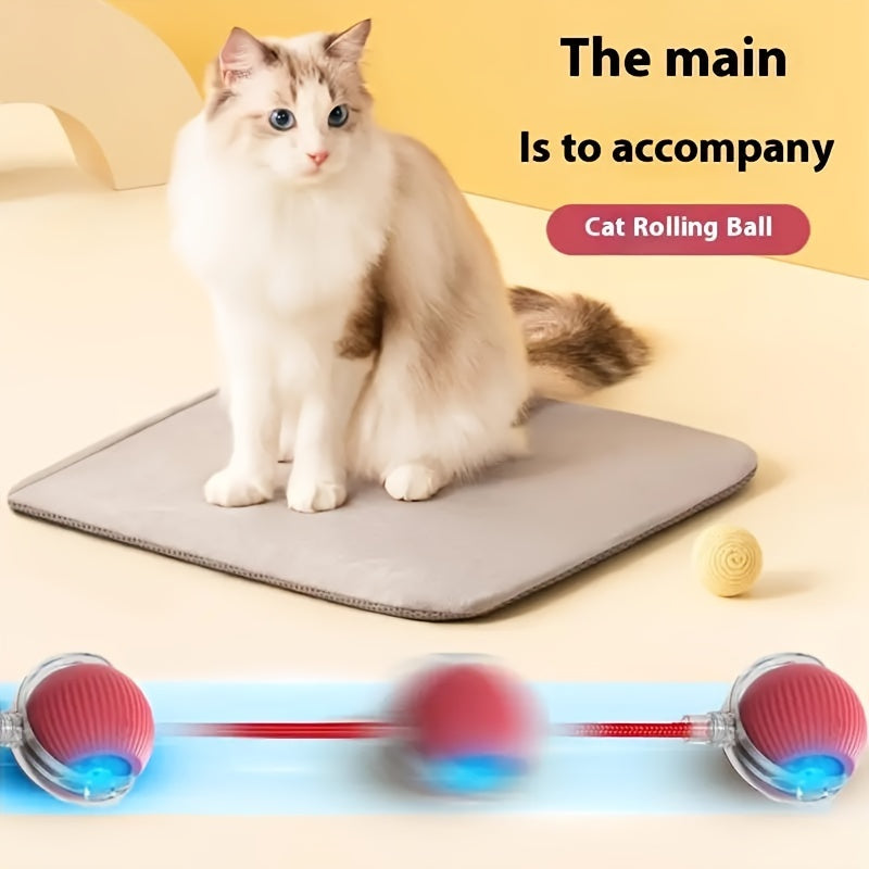 USB rechargeable rolling ball cat toy with automatic rotation and interactive design, suitable for all cat breeds and sizes. Powered by a 18650 lithium polymer battery with a voltage of 36V