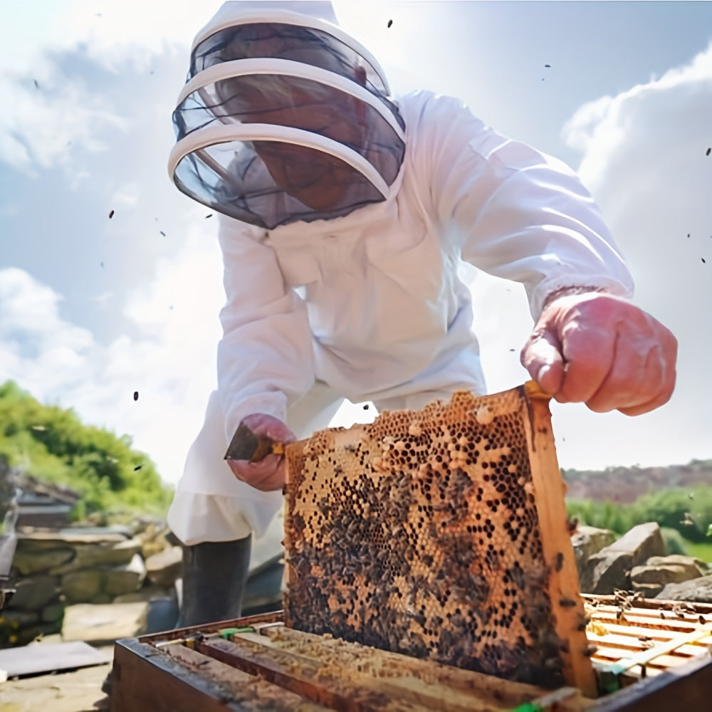 Durable full-body suit with veil hood for professional urban beekeeping.