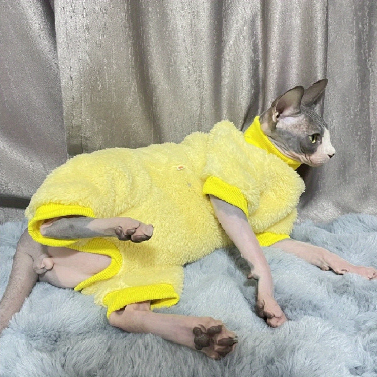 Stretch velvet sweater designed for Devon Sphynx cats without fur.