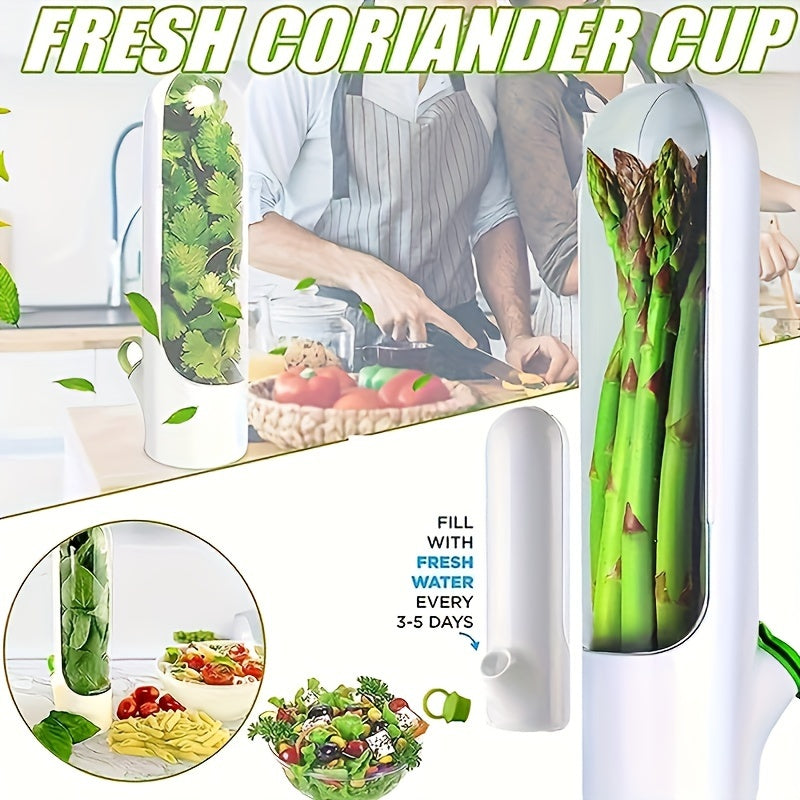 Set of Plastic Refrigerator Herb Saver Pods - Ideal for Preserving Coriander, Mint, Parsley, and Asparagus Freshness - Food Safe