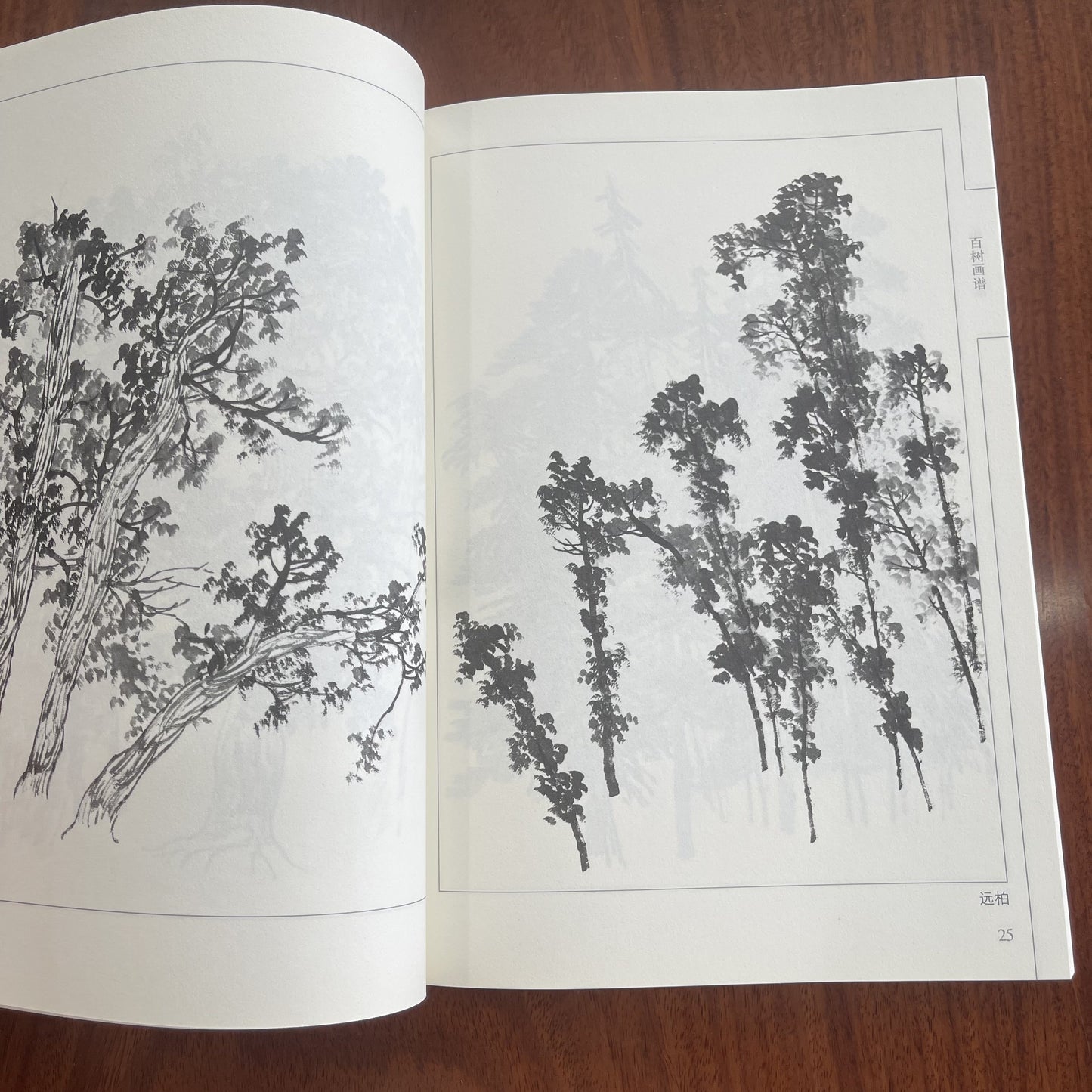 Chinese Ink Drawing - Book of 100 Tree Paintings