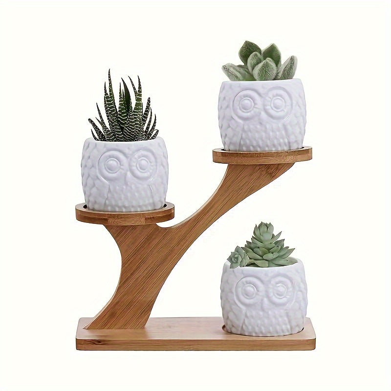 Multifunctional Bamboo Plant Stand for Succulents and Potted Plants, great for home, office, or balcony decor. Ideal gift for garden enthusiasts.