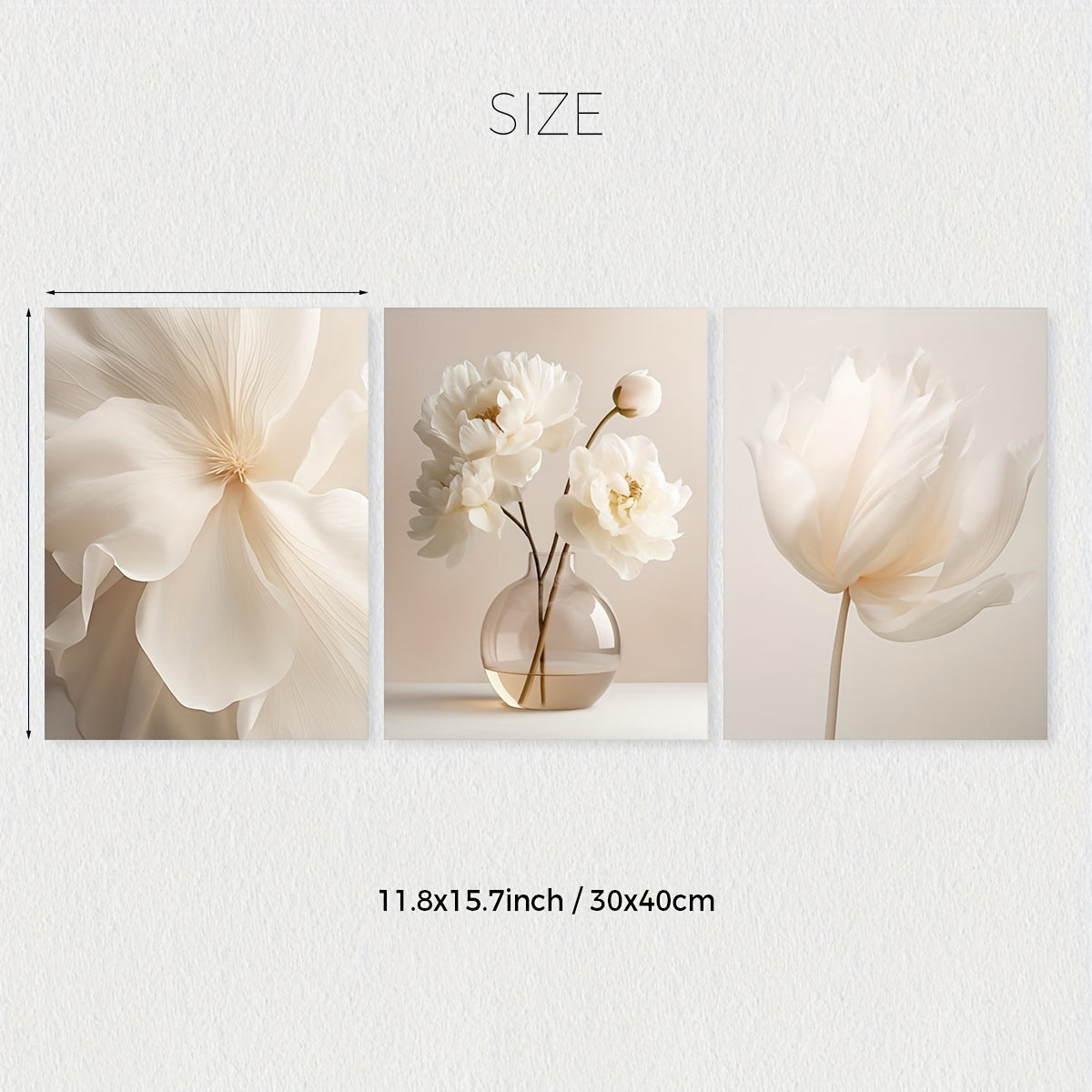 3 white peony flowers wall art prints for modern neutral decor in any room, unframed.