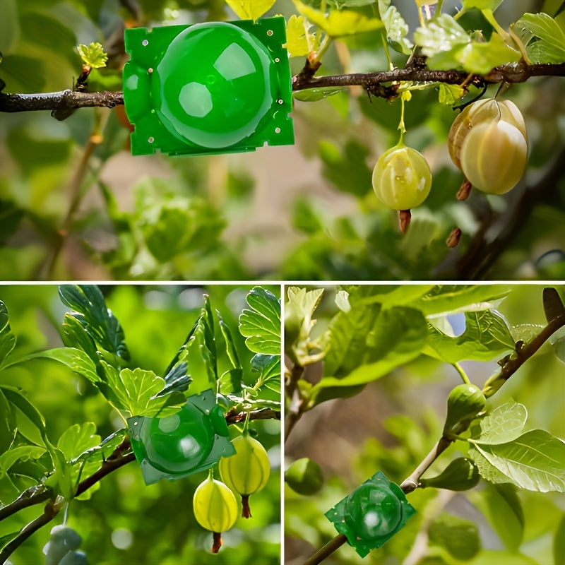 5 root growth boxes for high-pressure plant propagation, air layering, and grafting of plant cuttings in garden trees.