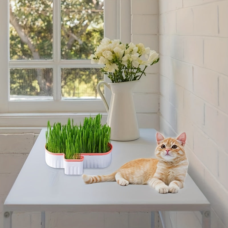 WhiskerWonders Double-Layer Detachable Cat Grass Growing Kit - Reusable Hydroponic Sprouting Tray for Cats and Dogs, Durable Plastic, Easy-to-Clean Pet Grass Planter Pot