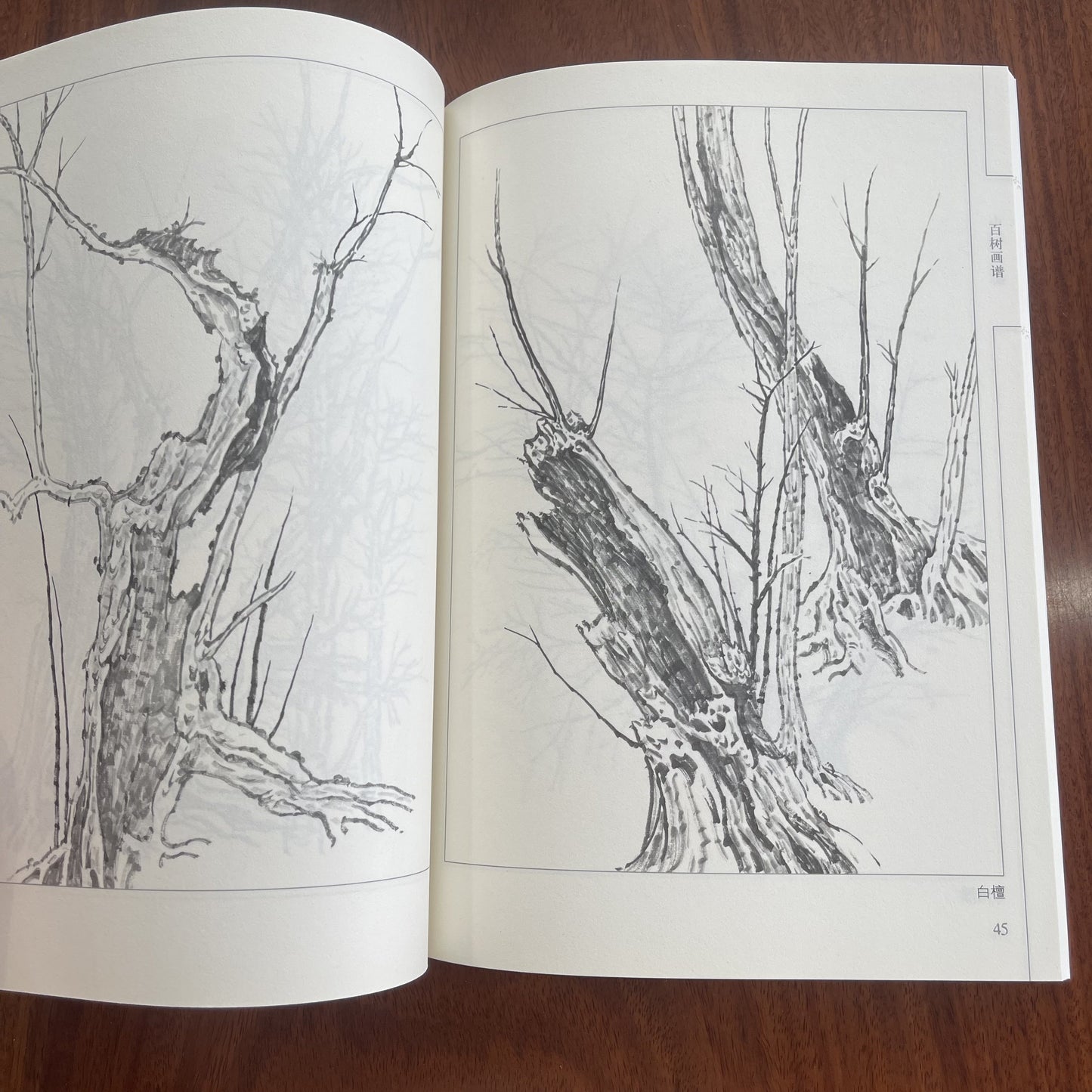 Chinese Ink Drawing - Book of 100 Tree Paintings