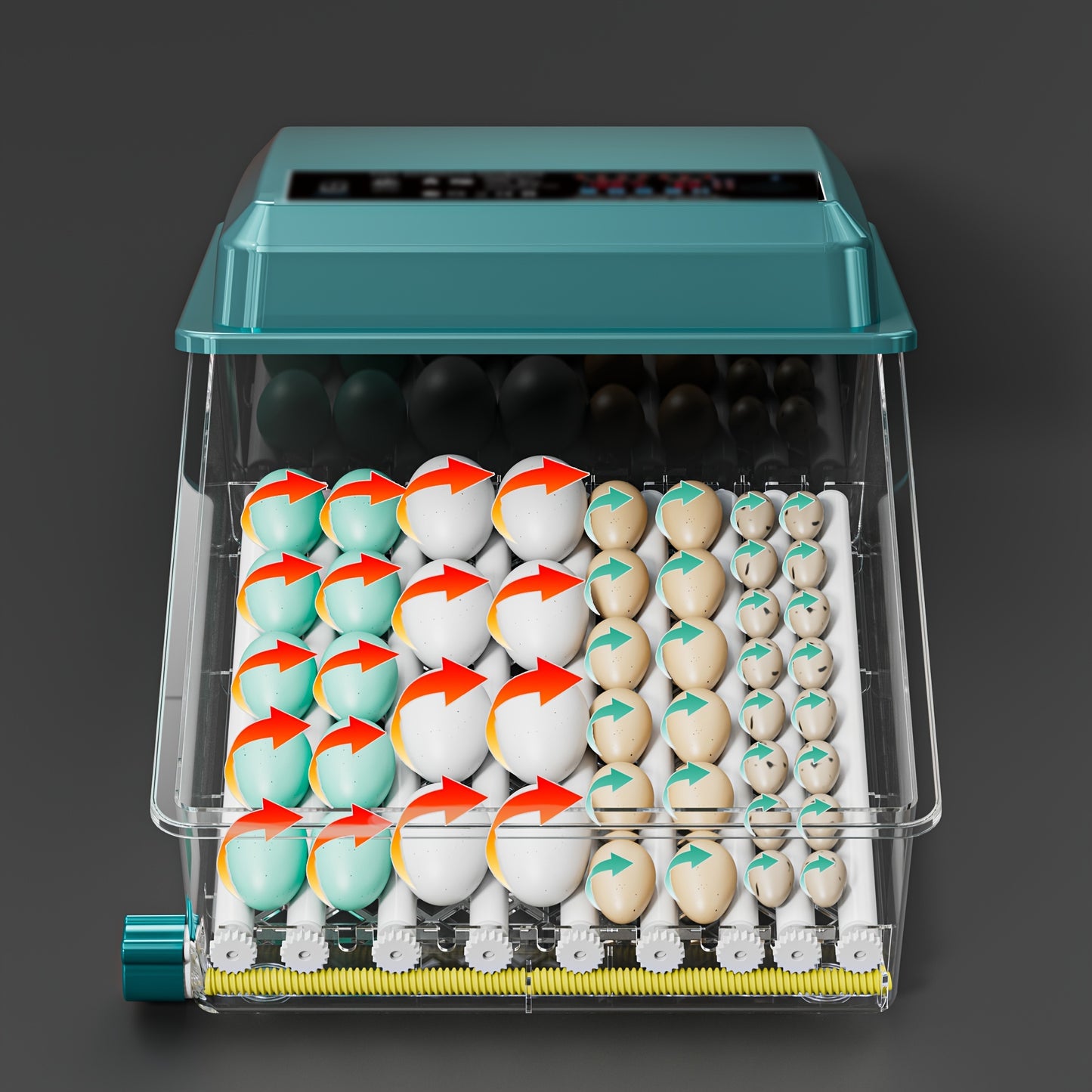 16-egg automatic incubator with auto turn, humidity control, adjustable spacing, pulse heat, cold light turning, Celsius display. Ideal for various eggs including duck, pigeon, bird, quail