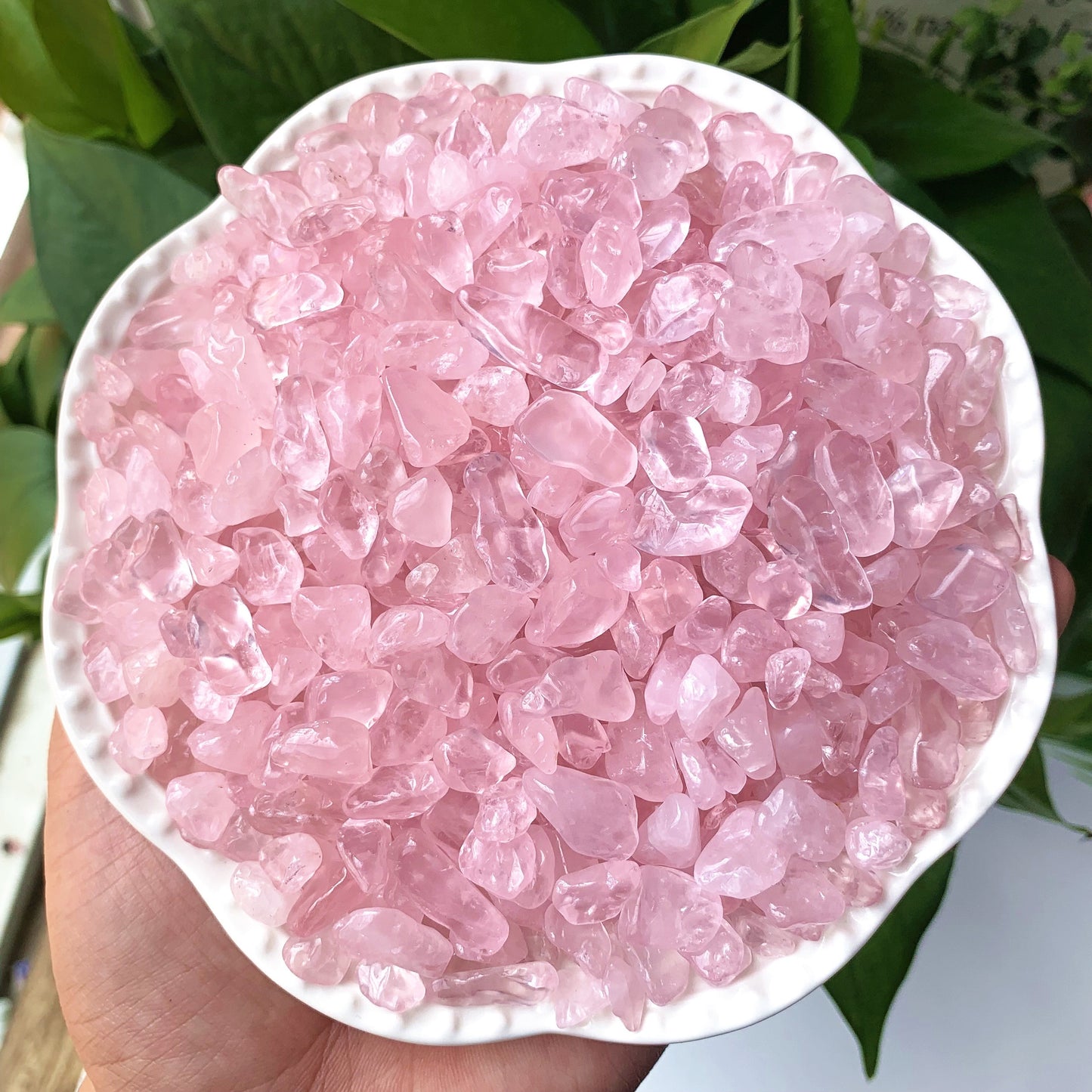 50g/100g Natural Rose Quartz Chips for Healing and Decoration in Plants, Flowerpots, Terrariums, and Fish Tanks.