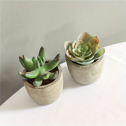 5 cross-border hot selling simulation succulent potted plants in paper pulp pots, bonsai desktop small ornament set.