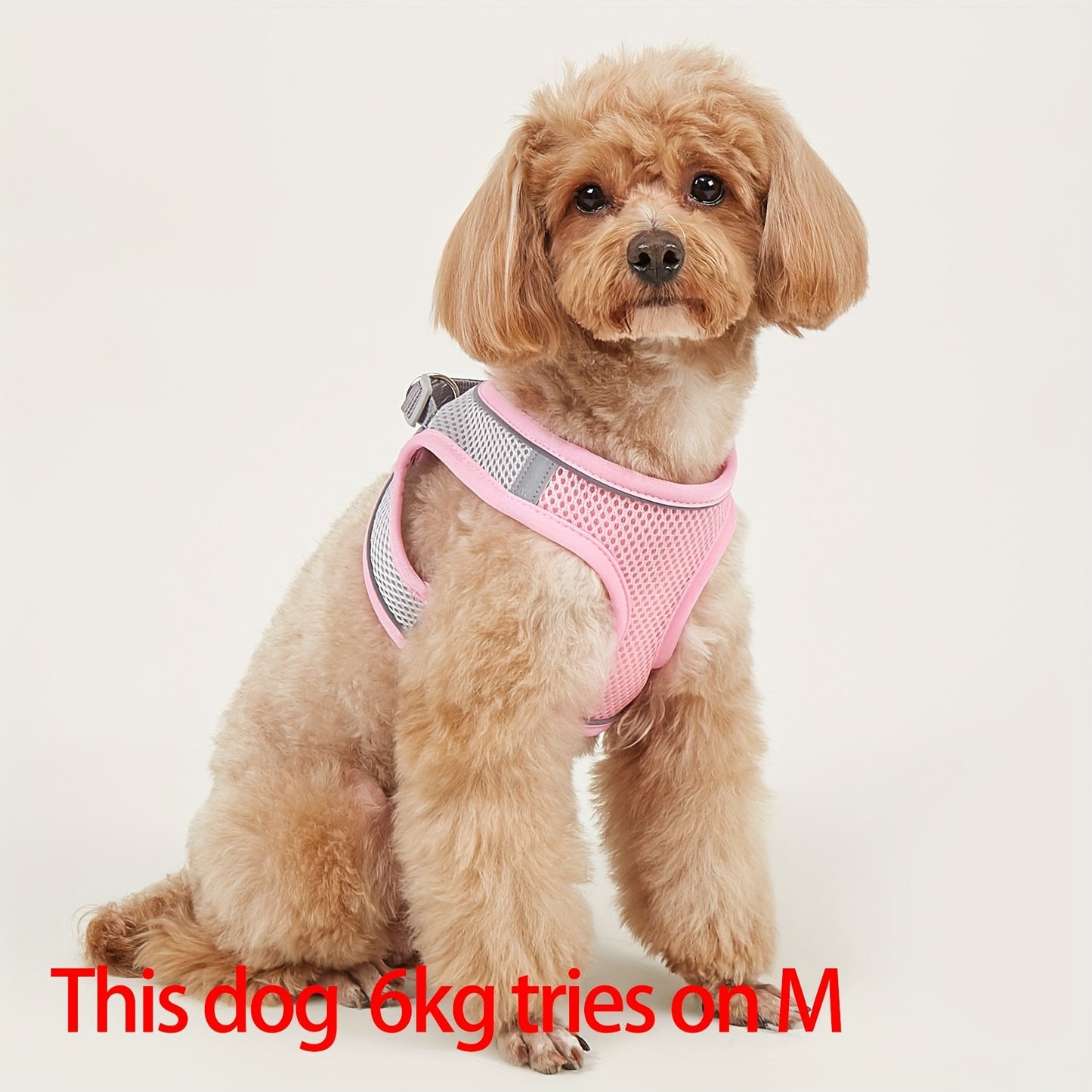 Soft mesh pet harness with reflective strip for small cats and dogs, providing comfort and safety.