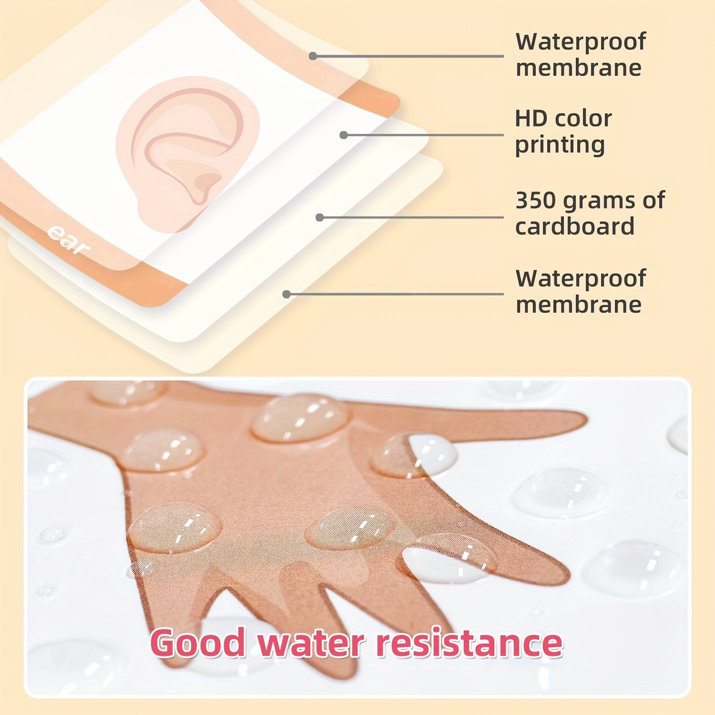 15 double-sided educational cards for recognizing 30 common body parts. Interactive learning toys for teachers and parents as basic teaching tools.