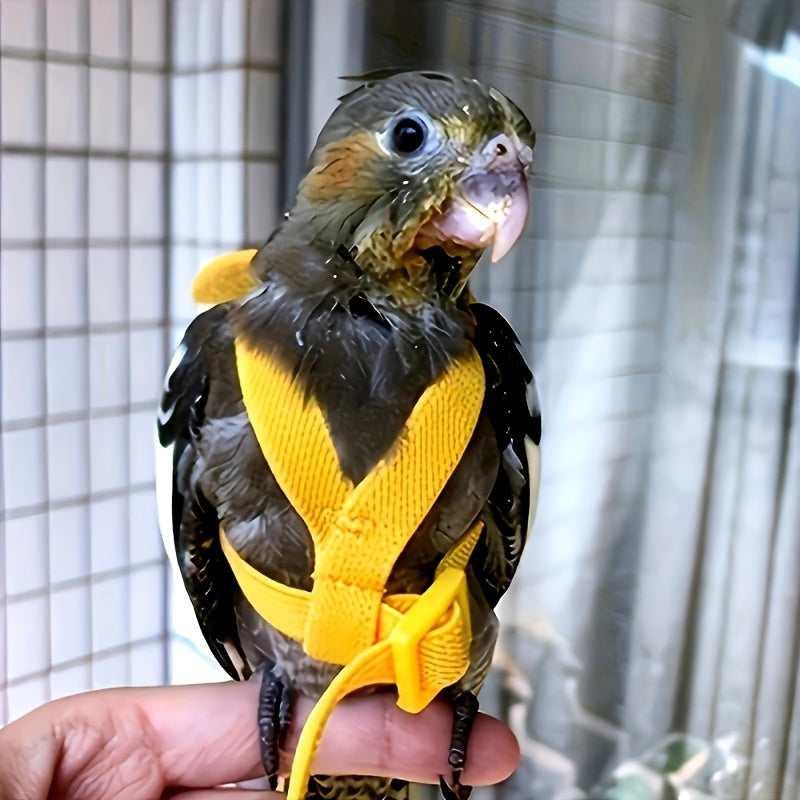 Adjustable pet parrot harness with anti-bite nylon rope and 182.88cm training leash for outdoor flying. Small parrot traction rope in pet supplies.