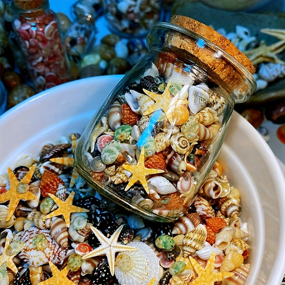 400 natural conch shells: 6 types of ultra small shells in glass jar