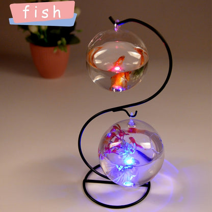 Creative hanging fish tank with stand and two small glass tanks, tabletop mini aquarium.