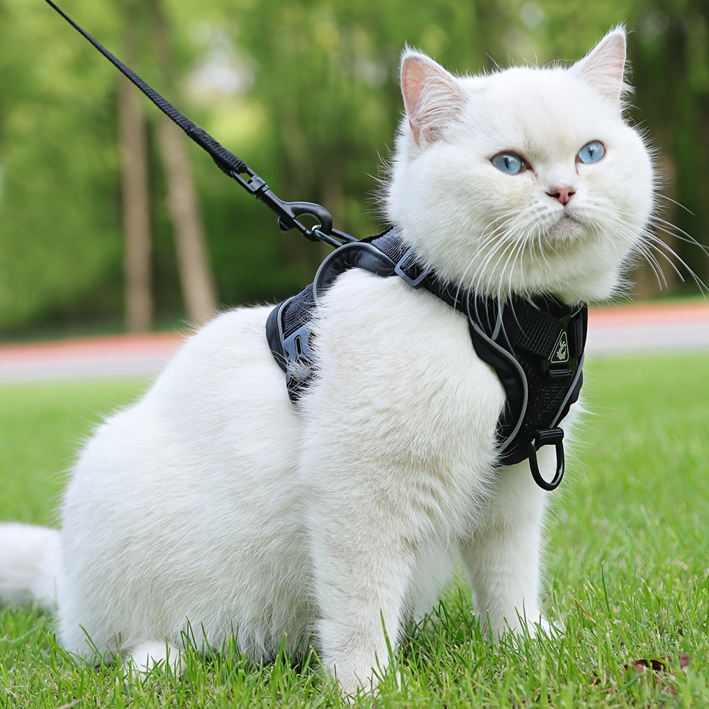 Reflective, breathable vest-style cat harness set with walking rope for outdoor walks and training.