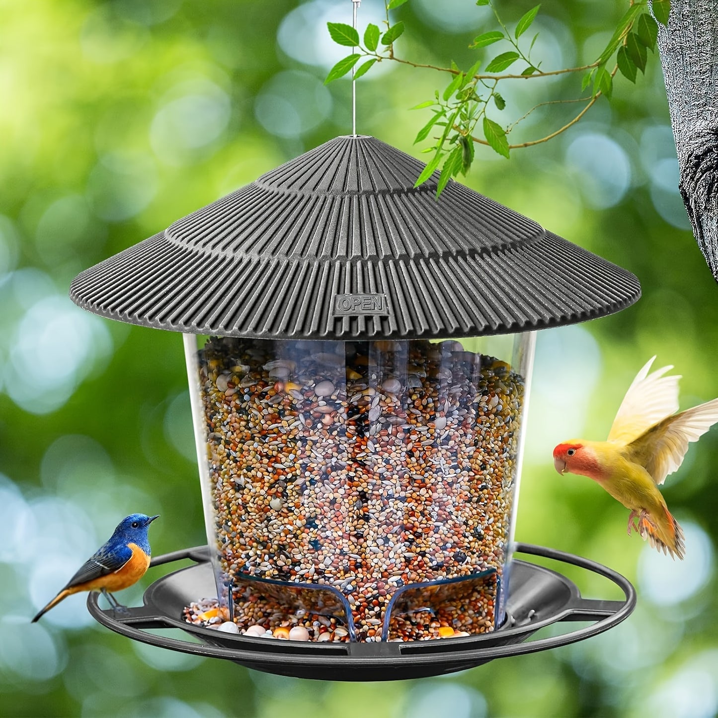 Outdoor hanging bird feeder with automatic features for hummingbirds and wild birds in your garden yard.