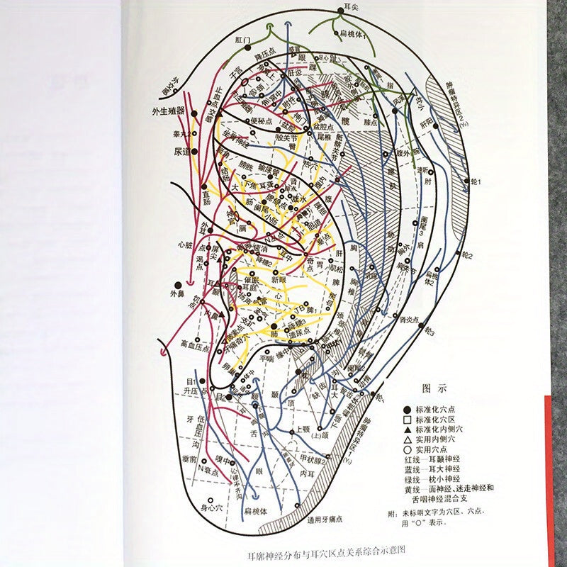 Ear acupuncture for beauty and health, therapy by five experts, Chinese edition by Wang Zheng, China Medical Science and Technology Press, 2015