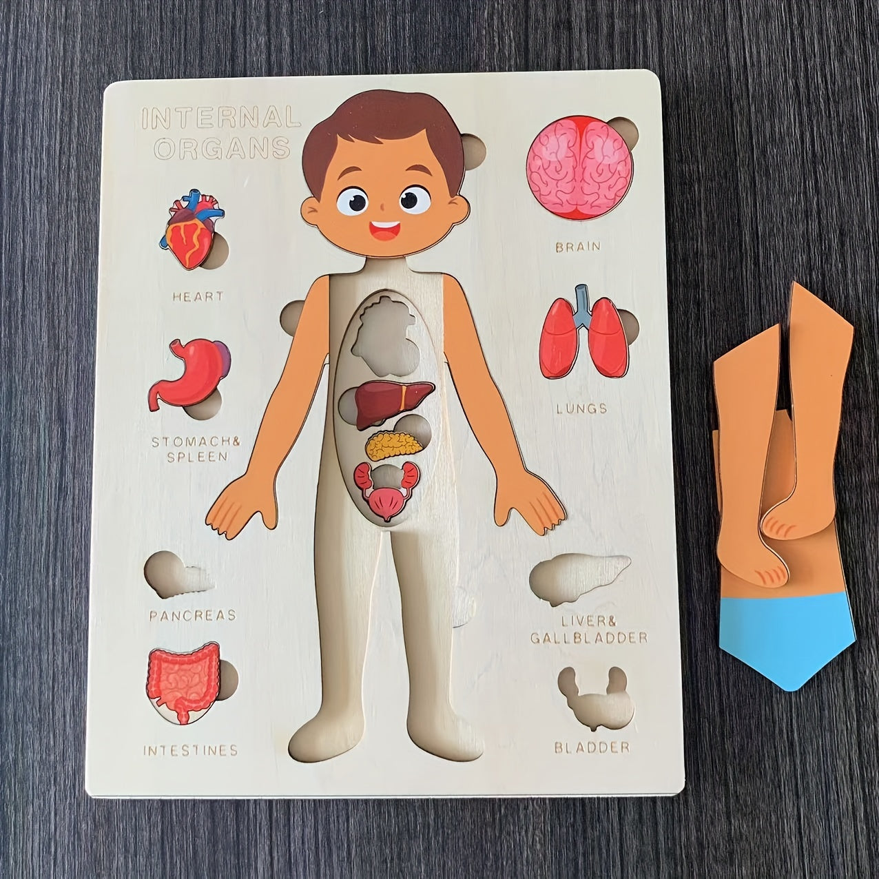 Children's Wooden Puzzle of the Human Body, Educational Tabletop Toy for Early Childhood Development, Encourages Parent-Child Interaction, Perfect for Mother and Baby Bonding, Ideal Toy for Children