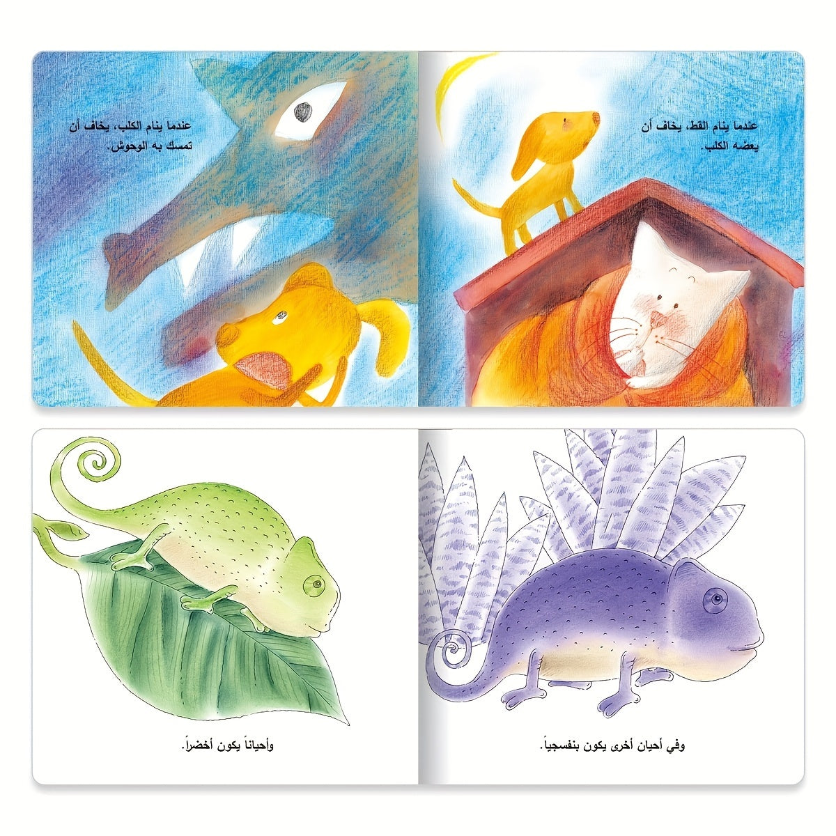 10 Arabic short story picture books in one set.