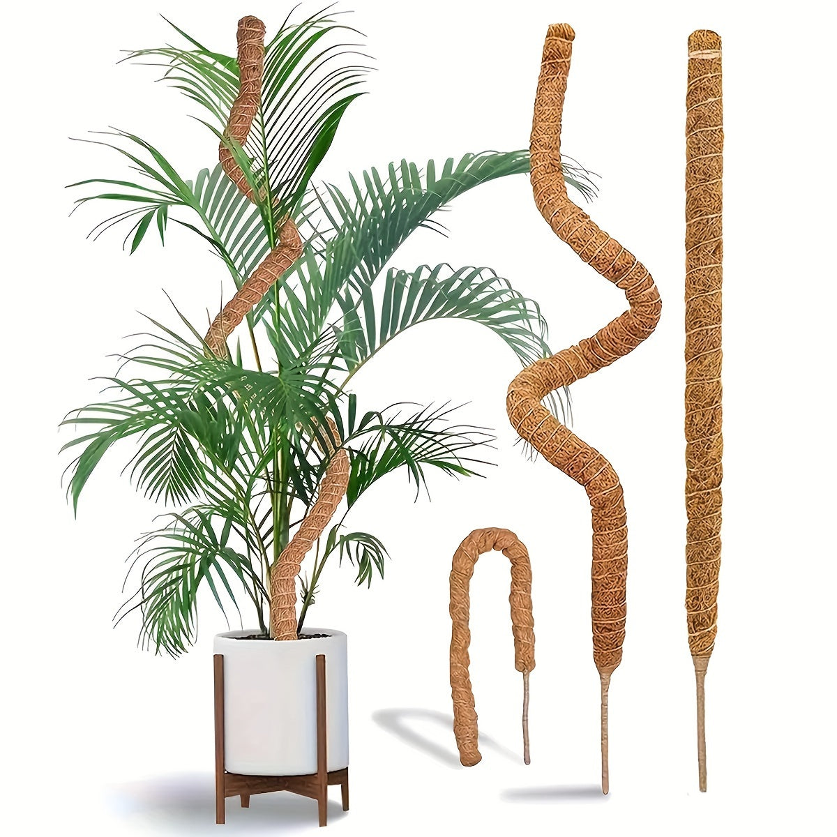 2-Pack Metal Moss Poles for Monstera Climbing Plant Stand, Indoor Garden Vine Support Stakes with Coconut Fiber Rope, for Unique DIY Plant Decor