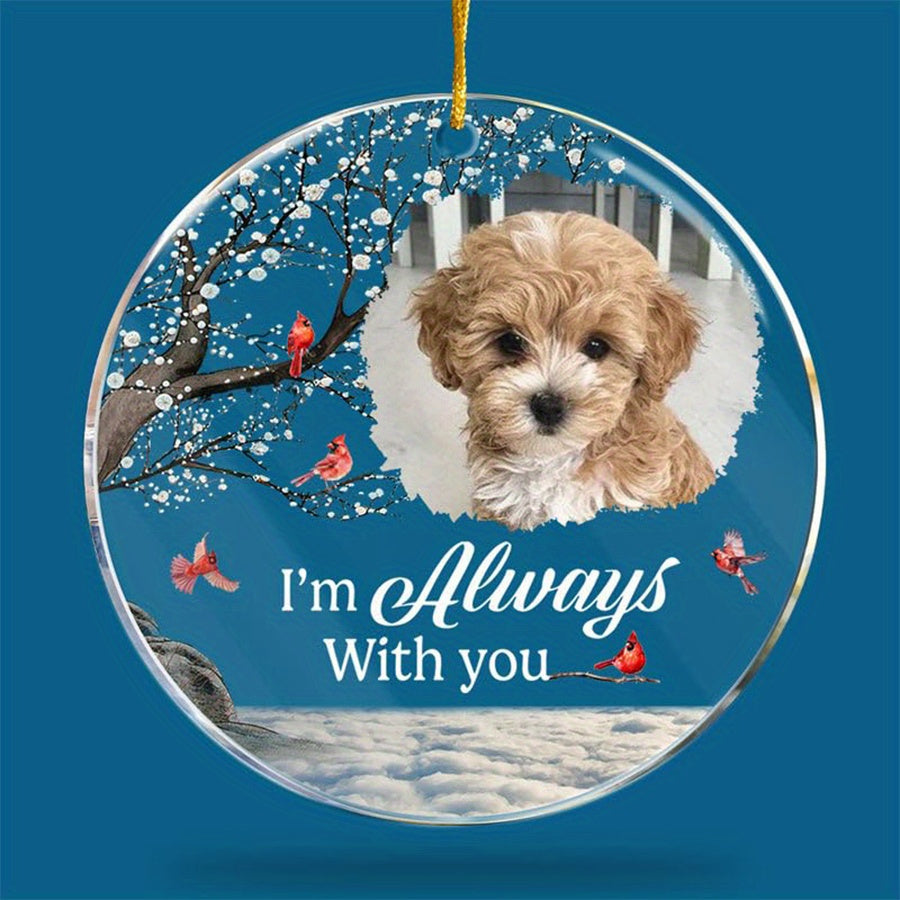 Personalized Acrylic Pet Memorial Sign - A Thoughtful Gift to Honor Your Beloved Dog or Cat, Beautiful Office Decor Suitable for Ages 14 and Up