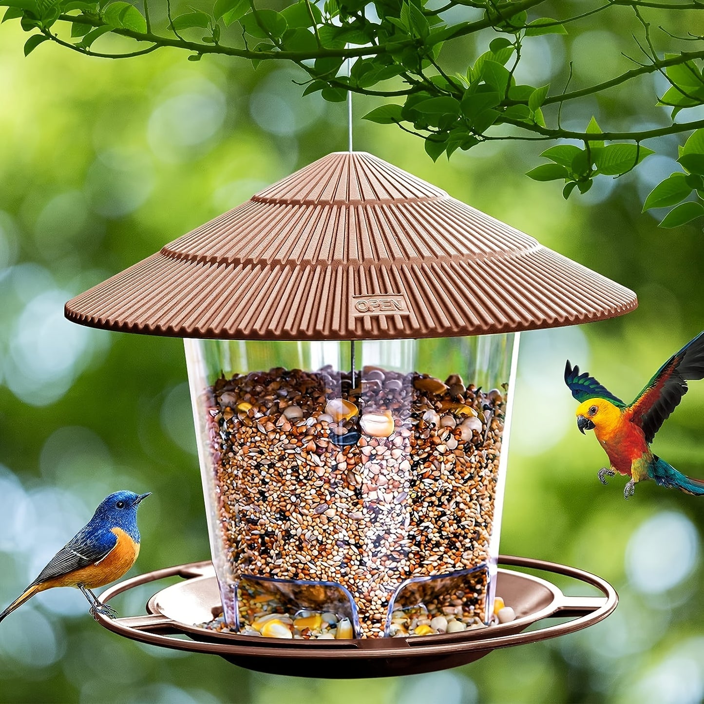 Outdoor hanging bird feeder with automatic features for hummingbirds and wild birds in your garden yard.