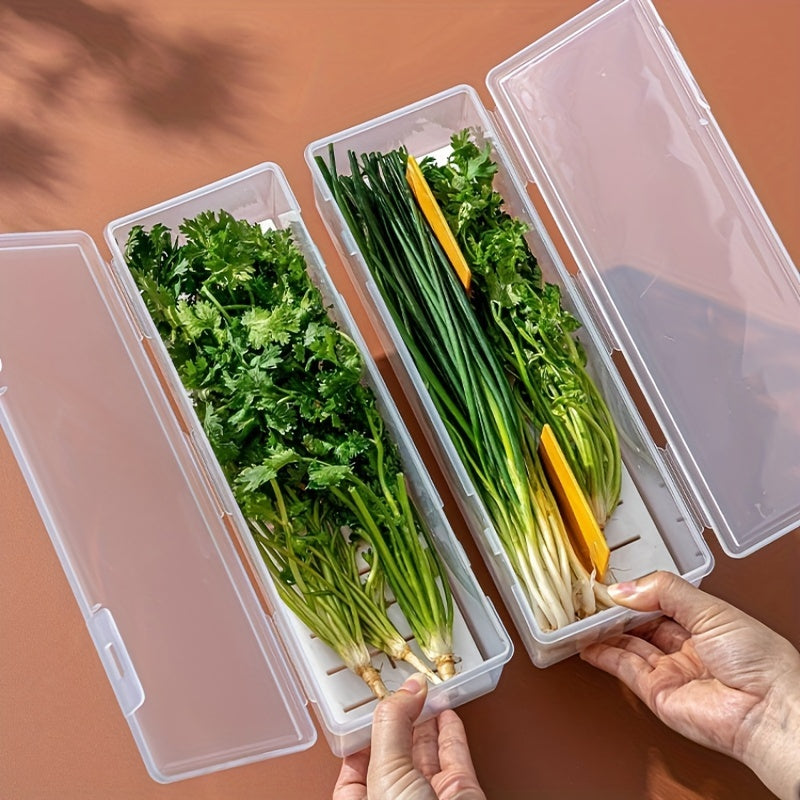 Versatile Clear Plastic Vegetable Storage Box: Ideal for Kitchen Organization, Featuring Drainage and Reusability