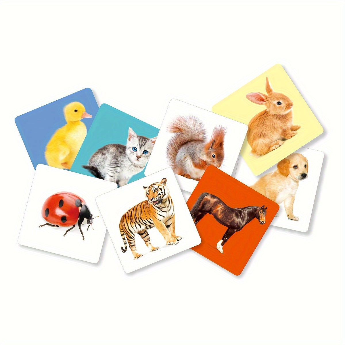 Montessori animal flashcards for toddlers promote early brain development with 24 animal pictures on 12 double-sided cards. Ideal for kids aged 2-10.