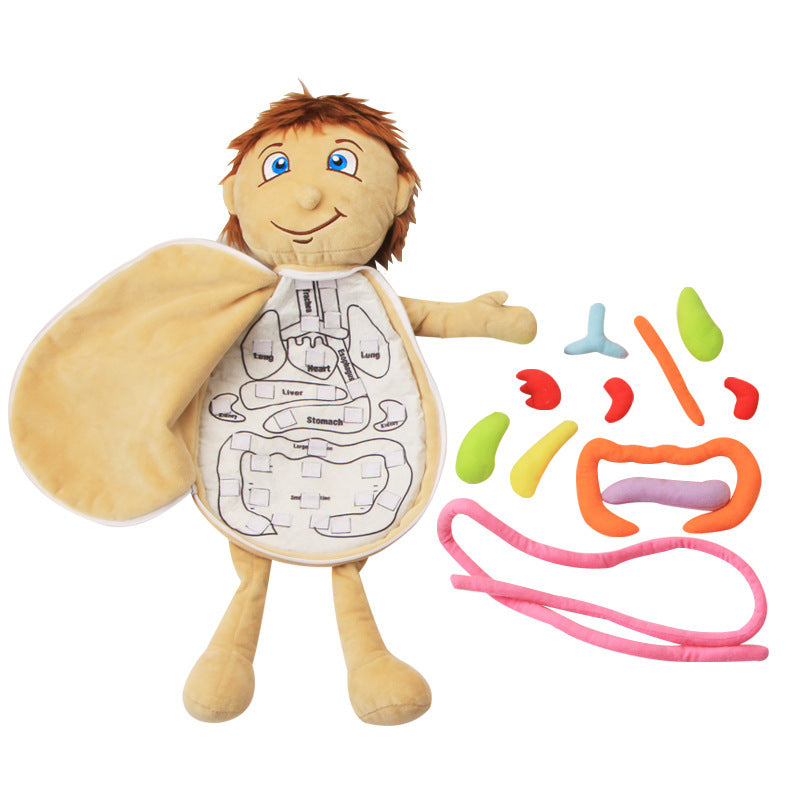 Enhance your child's understanding of anatomy with this engaging and educational puzzle apron! Perfect for Halloween, Thanksgiving, and Christmas gifts. Unlock the fun and learning potential today!