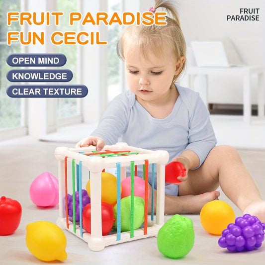 Toy Set for Youngsters with Fruit Shapes - Educational Toy for Early Learning and Developing Motor Skills, Cube Box for Fun and Development, Assorted Colors, Ideal Gift for Kids