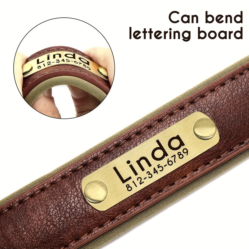 Customized Dog Collar made with faux leather, neoprene padding, and durable nameplate for small to medium dogs.