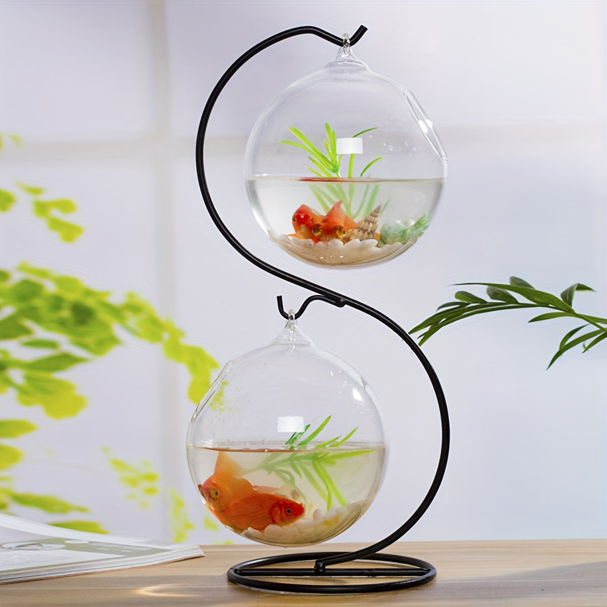 Creative hanging fish tank with stand and two small glass tanks, tabletop mini aquarium.